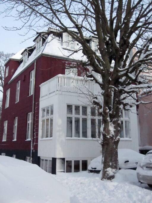 Apartment At Rostock - Pink Eksteriør bilde